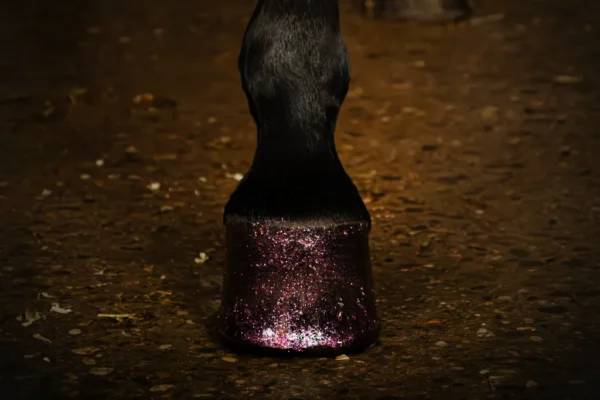 HIGL7052+2 Excellent Horse Hi Gloss Glitter Hoof Polish