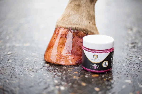 HIGL7052+3 Excellent Horse Hi Gloss Glitter Hoof Polish