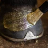 HIGL7053+4 Excellent Horse Hi Gloss Glitter Hoof Polish