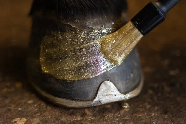 HIGL7053+4 Excellent Horse Hi Gloss Glitter Hoof Polish
